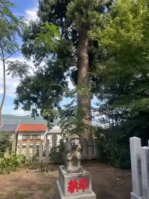 日吉神社(福井県)
