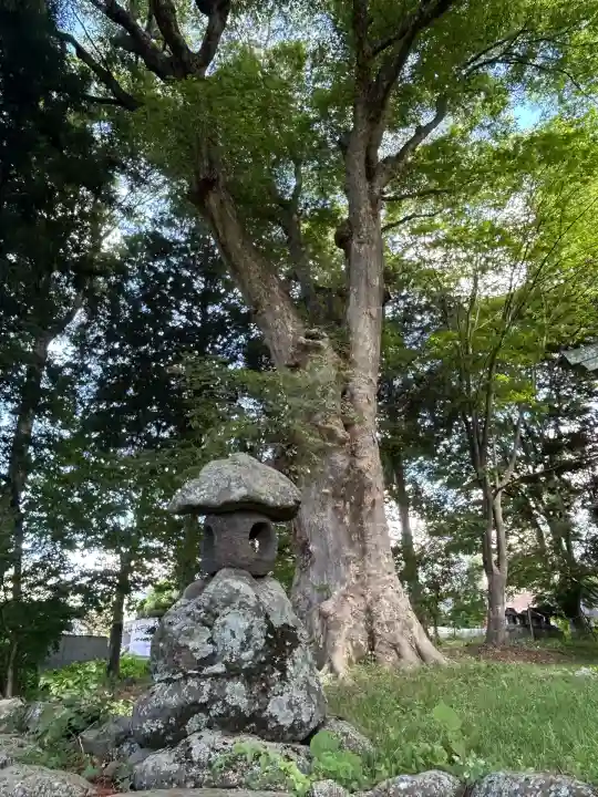 出早雄神社(長野県)