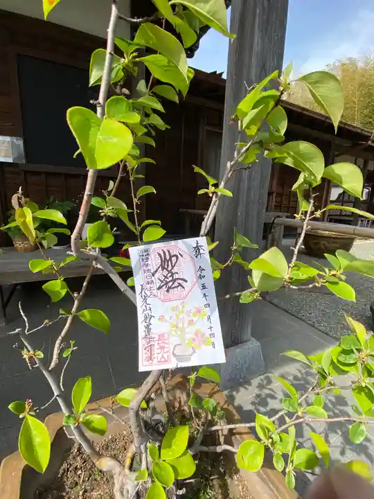妙蓮寺(神奈川県)