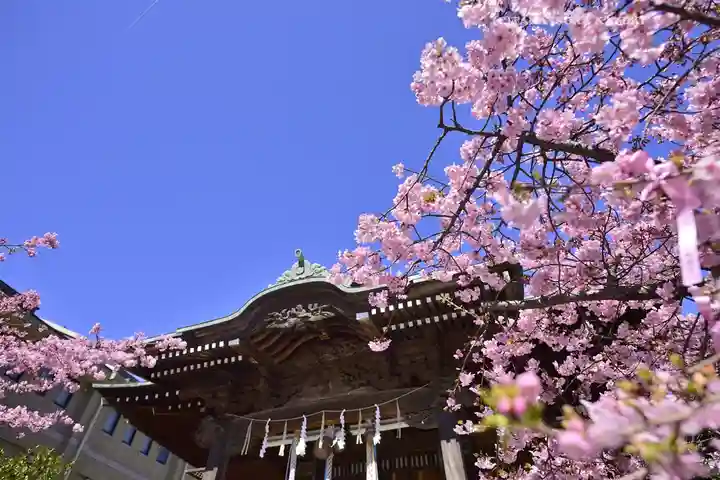桜神宮(東京都)