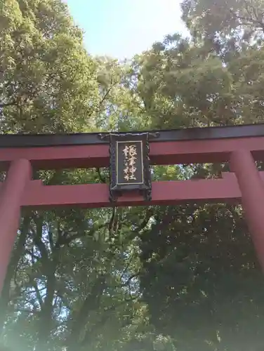 根津神社(東京都)