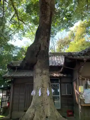 氷川女體神社のその他建物