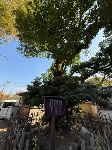 松月院の{uncategorized: "未分類", other: "その他", undefined: "問題あり", building: "その他建物", grave: "お墓", sacred_gate: "鳥居", guardian: "狛犬", statue: "像", buddha: "仏像", history: "歴史", nature: "自然", garden: "庭園", animal: "動物", pagoda: "塔", temizu: "手水舎", mountain_gate: "山門・神門", sanctuary: "本殿・本堂", subordinate: "末社・摂社", art: "芸術", scenery: "景色", jizo: "地蔵", ema: "絵馬", goshuin: "御朱印", omikuji: "おみくじ", items: "授与品その他", amulet: "お守り", goshuincho: "御朱印帳", eats: "食事", festival: "お祭り", votive_dance: "神楽", shichigosan: "七五三参", wedding: "結婚式", experience: "体験その他", initially: "初詣", around: "周辺", anti_infection: "感染症対策"}