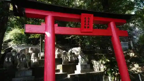 岐阜稲荷山本社の鳥居