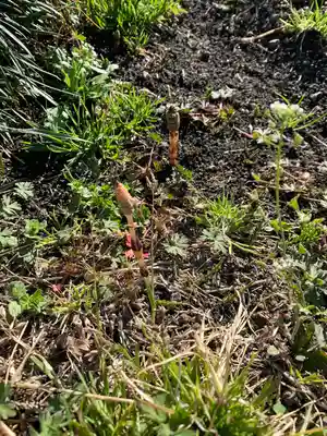 慈恩寺(埼玉県)