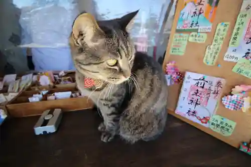 前玉神社(埼玉県)