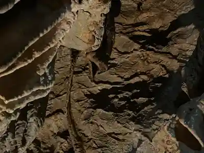 龍王神社(高知県)