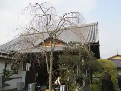 大法院(京都府)