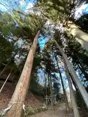 子檀嶺神社(長野県)