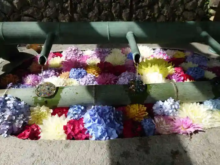 岡寺(龍蓋寺)(奈良県)