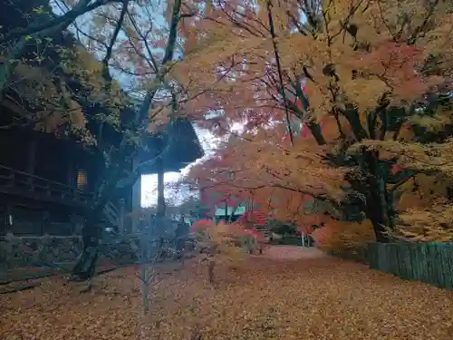 施福寺(大阪府)