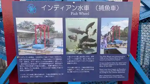 サケ神社（サケの慰霊塔）の動物