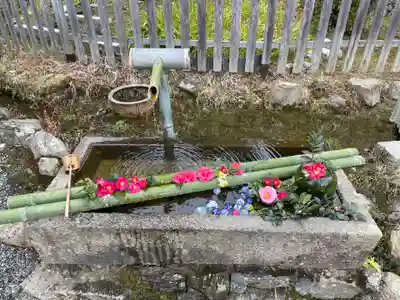 二尊院(京都府)