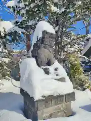 篠路神社の狛犬