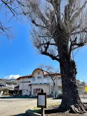 壬生寺(栃木県)