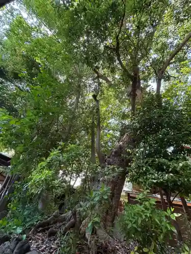 検見川神社(千葉県)