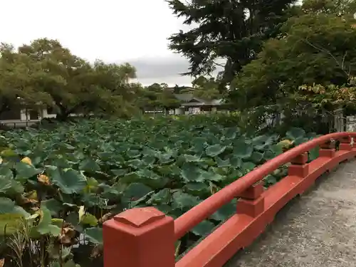 鶴岡八幡宮の庭園