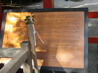 賀茂御祖神社（下鴨神社）(京都府)