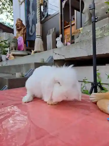 快神社(徳島県)