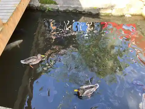善知鳥神社(青森県)
