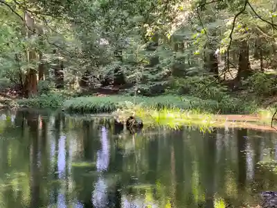 平泉寺白山神社(福井県)