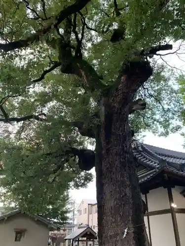 鶯関神社の自然