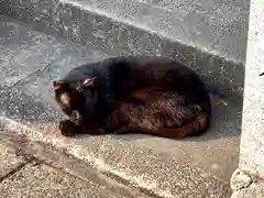 神明神社の動物