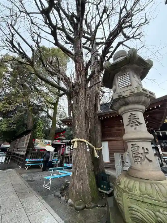 豊川稲荷東京別院の{uncategorized: "未分類", other: "その他", undefined: "問題あり", building: "その他建物", grave: "お墓", sacred_gate: "鳥居", guardian: "狛犬", statue: "像", buddha: "仏像", history: "歴史", nature: "自然", garden: "庭園", animal: "動物", pagoda: "塔", temizu: "手水舎", mountain_gate: "山門・神門", sanctuary: "本殿・本堂", subordinate: "末社・摂社", art: "芸術", scenery: "景色", jizo: "地蔵", ema: "絵馬", goshuin: "御朱印", omikuji: "おみくじ", items: "授与品その他", amulet: "お守り", goshuincho: "御朱印帳", eats: "食事", festival: "お祭り", votive_dance: "神楽", shichigosan: "七五三参", wedding: "結婚式", experience: "体験その他", initially: "初詣", around: "周辺", anti_infection: "感染症対策"}