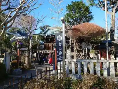 白山神社(東京都)