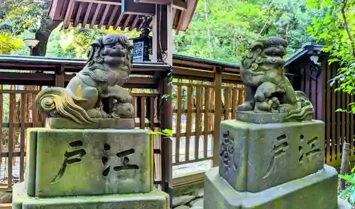 駒木諏訪神社の狛犬