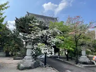 曹源寺(愛知県)