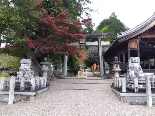 八幡神社（武芸八幡宮）(岐阜県)