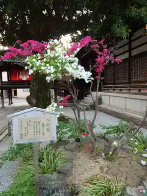 安江八幡宮（金沢水天宮）(石川県)