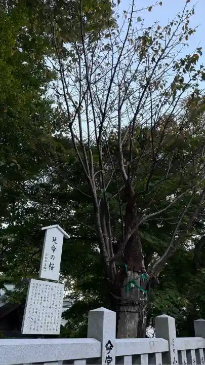 函館八幡宮(北海道)