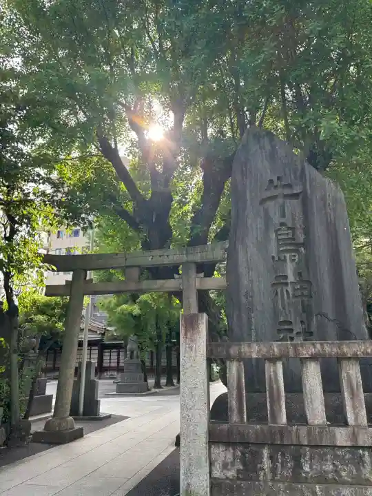 牛嶋神社の鳥居