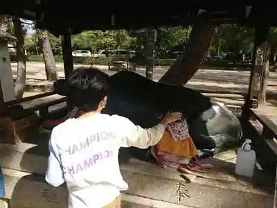 北野天満宮の狛犬