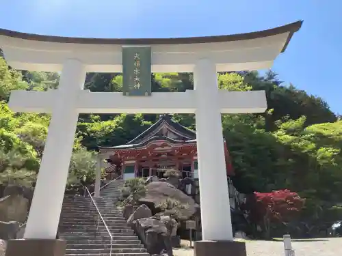 夫婦木神社姫の宮の{uncategorized: "未分類", other: "その他", undefined: "問題あり", building: "その他建物", grave: "お墓", sacred_gate: "鳥居", guardian: "狛犬", statue: "像", buddha: "仏像", history: "歴史", nature: "自然", garden: "庭園", animal: "動物", pagoda: "塔", temizu: "手水舎", mountain_gate: "山門・神門", sanctuary: "本殿・本堂", subordinate: "末社・摂社", art: "芸術", scenery: "景色", jizo: "地蔵", ema: "絵馬", goshuin: "御朱印", omikuji: "おみくじ", items: "授与品その他", amulet: "お守り", goshuincho: "御朱印帳", eats: "食事", festival: "お祭り", votive_dance: "神楽", shichigosan: "七五三参", wedding: "結婚式", experience: "体験その他", initially: "初詣", around: "周辺", anti_infection: "感染症対策"}