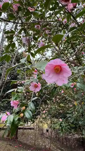 和氣神社（和気神社）(岡山県)