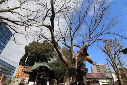 阿邪訶根神社の景色