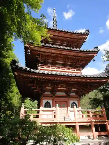 三室戸寺の塔