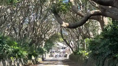 酒列磯前神社の景色