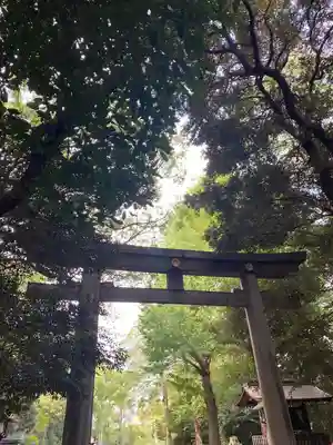 明治神宮(東京都)