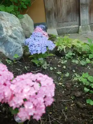 青龍山 吉祥寺(群馬県)