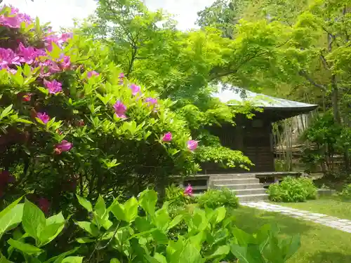 浄光明寺の庭園