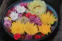 大鏑神社の手水舎