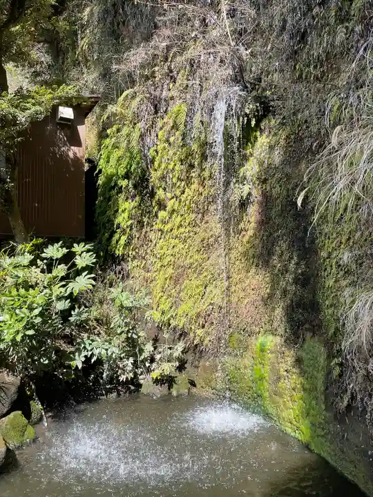 銭洗弁財天宇賀福神社(神奈川県)