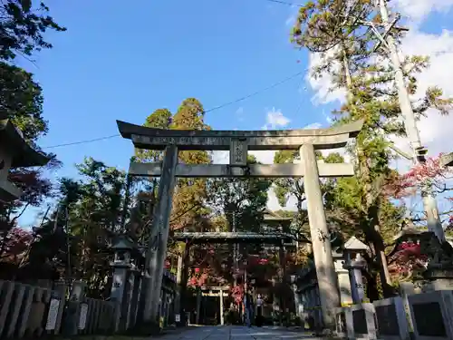 針綱神社の鳥居