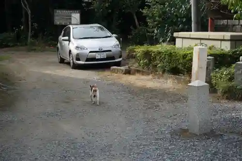 板倉雷電神社の動物