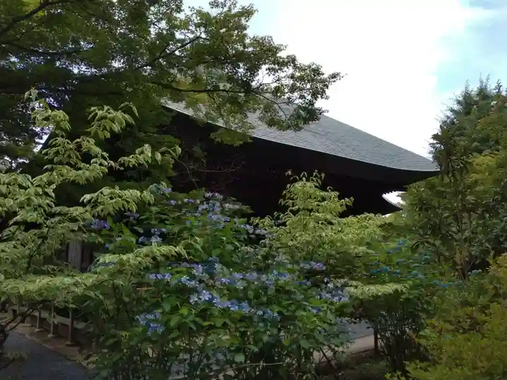 多聞院(埼玉県)