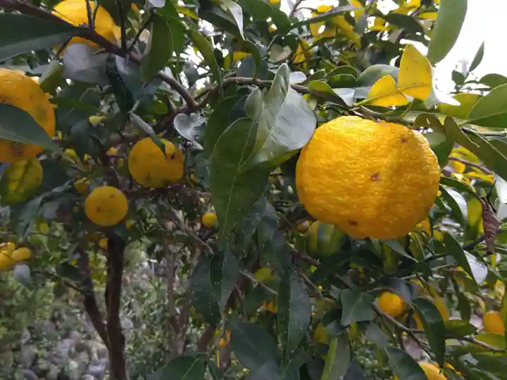 桂昌寺(岐阜県)